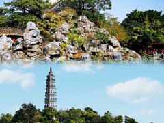 -顺峰山公园