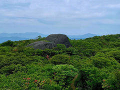 -大围山国家森林公园