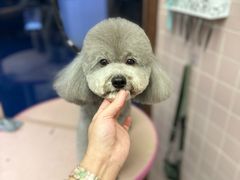 -FAELING PETS美天灵宠物(富力广场店)