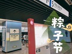 -大龙山(地铁站)