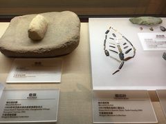 -宁夏博物馆