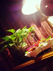 点击看大图 零食-TIME SPA科技美肤机构