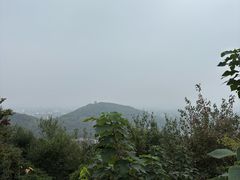 -上海佘山国家森林公园西佘山园