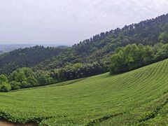 -敬亭山风景名胜区