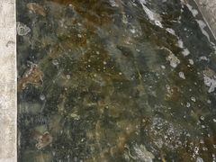 -阔澜蒸汽海鲜自助