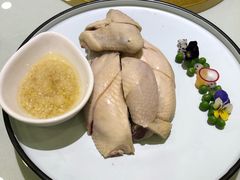 -燕春楼(海河华鼎店)