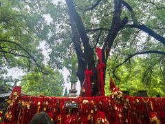 -大槐树寻根祭祖园