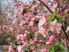 -元大都城垣遗址公园