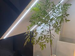 -素禅棋牌会所(海阳路店)