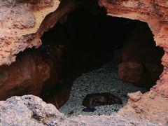 -涠洲岛火山国家地质公园