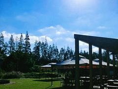 -前小桔亲子创意农场·草莓采摘·露营烧烤