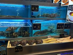 -红高粱大酒店(宁山东路店)