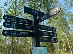 -合肥滨湖国家森林公园