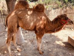 -泉州海丝野生动物世界