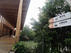 -江门古劳水乡旅游区