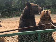 -秦皇岛野生动物园