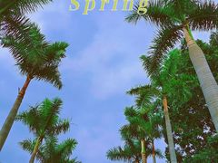 -香蜜公园