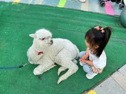 -萌宠亲子动物乐园(槐房万达店)