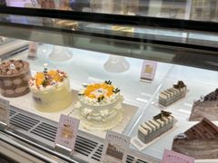 -TD66高山铁皮石斛养生茶饮