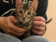 -Me Coffee下午茶艺术空间