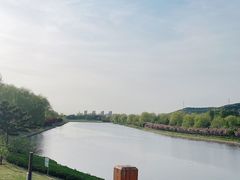 -羊亭河湿地公园