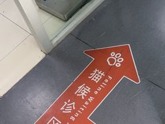 -申普宠物医院·心脏介入·心血管微创(总院)