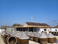 -苏州市吴中区光福窑上花果蜜饯厂