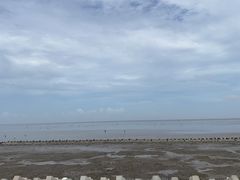 -南汇新城海滩