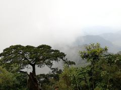 -七仙岭温泉国家森林公园