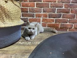 -青木造型HAIR·あおき髪を刈る潮人店