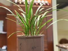 -金河半岛园林酒家(金融城店)