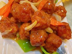 煎丸子-宝发园名菜馆