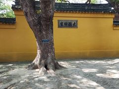 -西园戒幢律寺