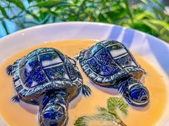 -南拳十三姨·潮汕砂锅粥·粤菜(西单大悦城店)