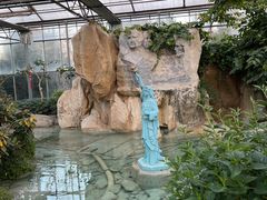 -南宫五洲植物乐园