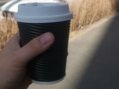 -线格之间COFFEE