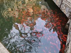 -红螺寺