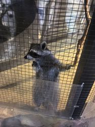 -酷嗒动物文化乐园(cutezoo西溪乐天城店)