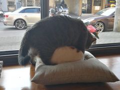 -B.O.M波姆烘焙(凤凰街店)