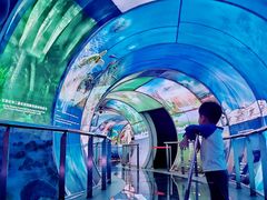 -房山世界地质公园博物馆