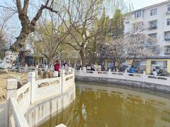 -桃花堤公园