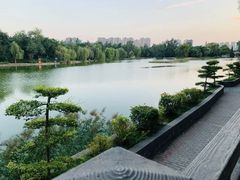 -渭滨公园