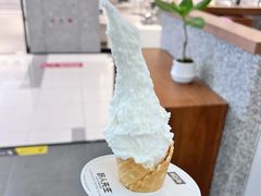 -野人先生Gelato(上海长宁龙之梦店)