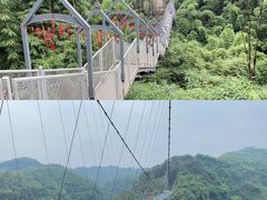 -川西竹海景区