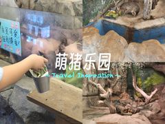 -正佳雨林生态植物园