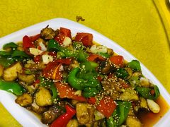 -煲来饱去冷水鱼