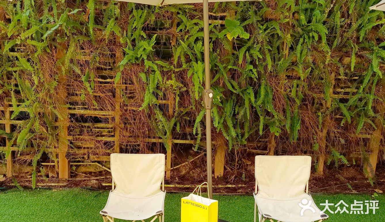 重庆探店咖啡🐶|店如其名的二狗☕