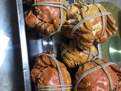 -乡乐园蟹庄·阳澄湖农家乐