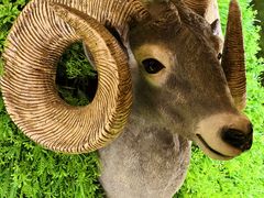 -彩虹之约•淮扬家宴(亚运村店)