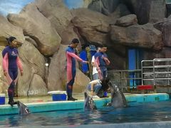 -福州罗源湾海洋世界旅游区